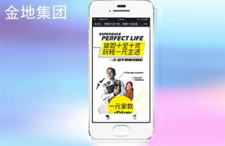 金地集團(tuán)